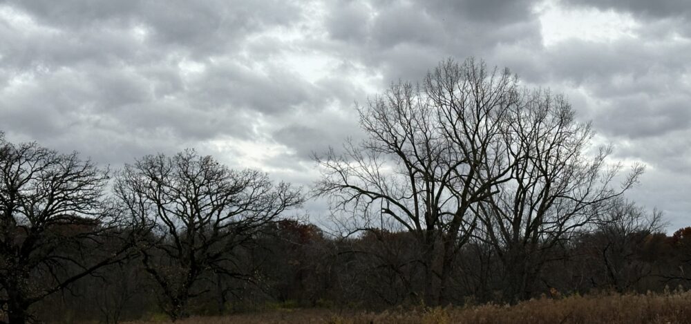 green.edgestitch.com